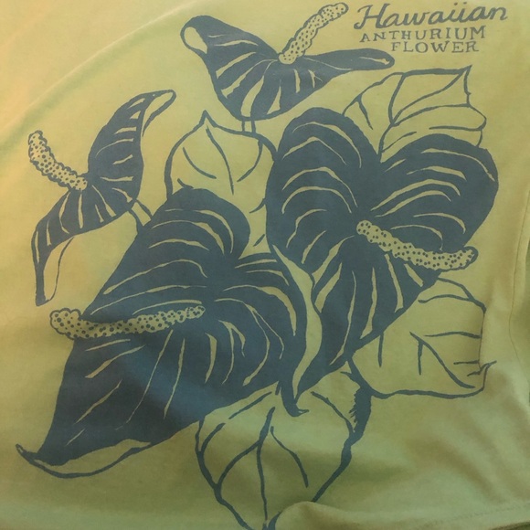 2) Old Navy Vintage Graphic Tee’s Hawaiian Anthurium - Picture 2 of 8